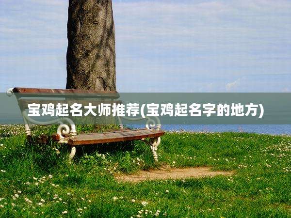 宝鸡起名大师推荐(宝鸡起名字的地方)
