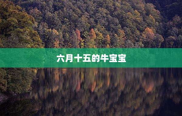 六月十五的牛宝宝