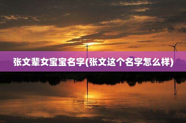 张文辈女宝宝名字(张文这个名字怎么样)