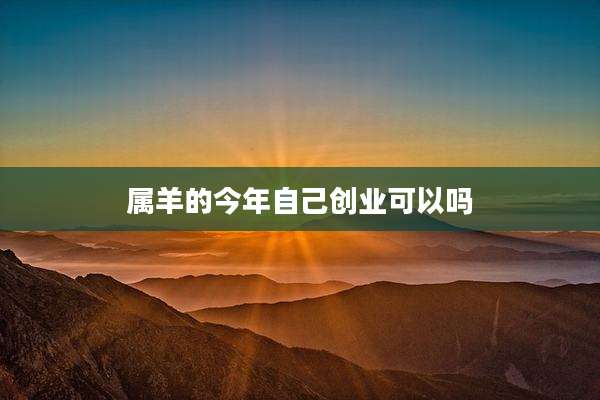 属羊的今年自己创业可以吗