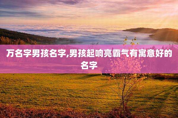 万名字男孩名字,男孩起响亮霸气有寓意好的名字