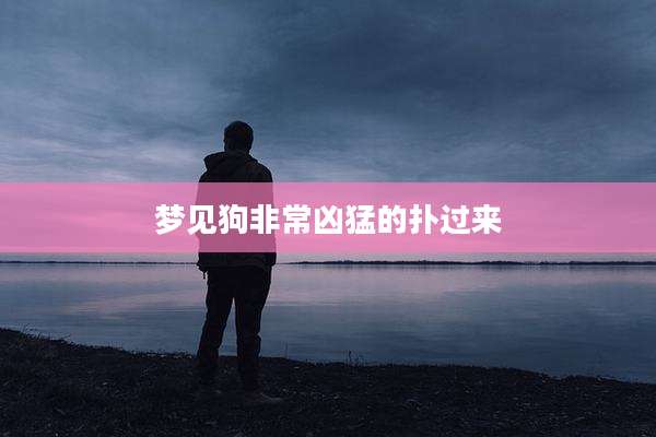 梦见狗非常凶猛的扑过来