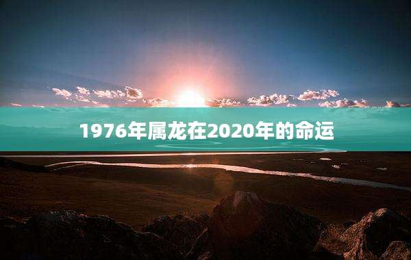 1976年属龙在2020年的命运