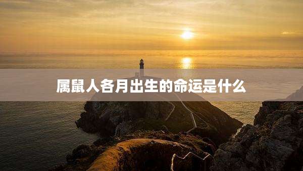 属鼠人各月出生的命运是什么