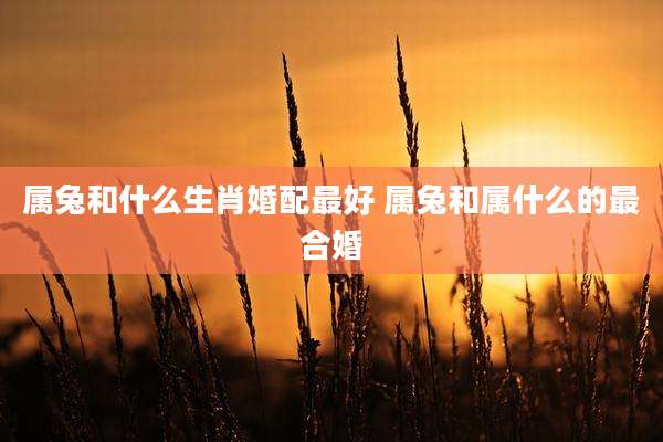 属兔和什么生肖婚配最好 属兔和属什么的最合婚
