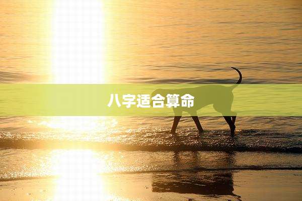 八字适合算命