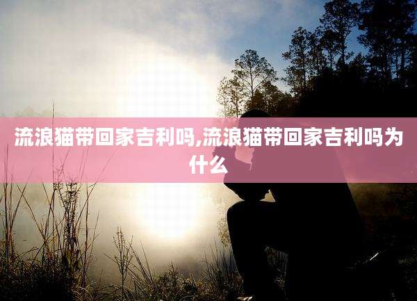 流浪猫带回家吉利吗,流浪猫带回家吉利吗为什么