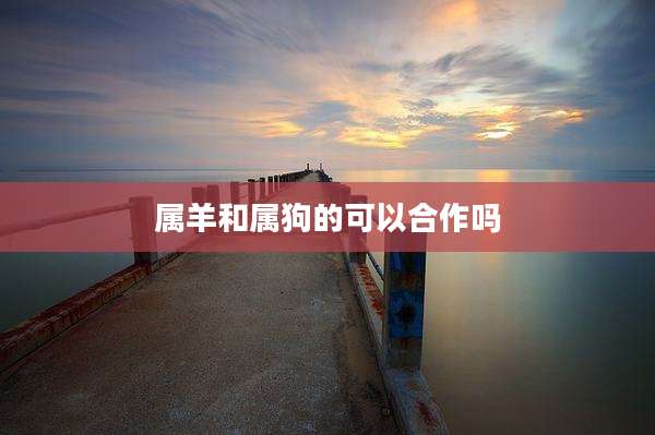 属羊和属狗的可以合作吗