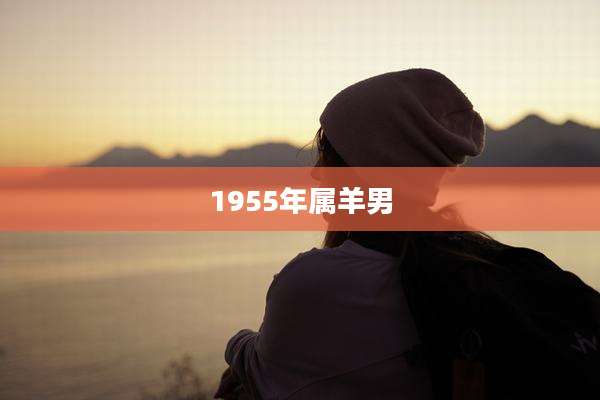 1955年属羊男