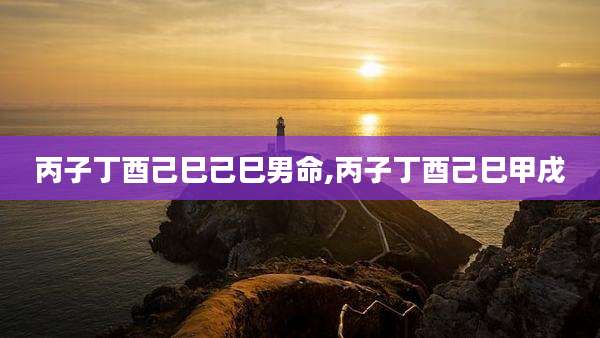 丙子丁酉己巳己巳男命,丙子丁酉己巳甲戌
