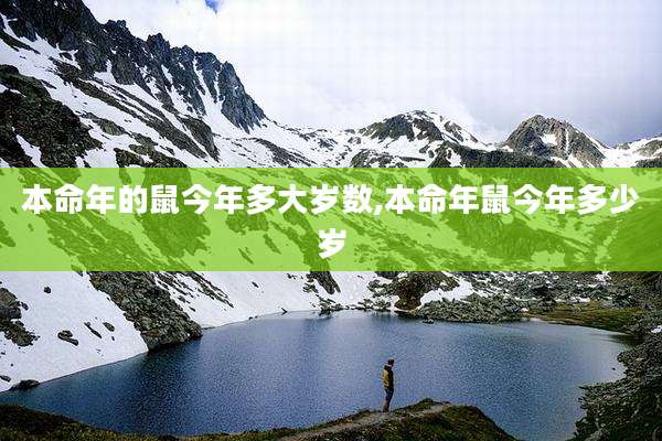 本命年的鼠今年多大岁数,本命年鼠今年多少岁