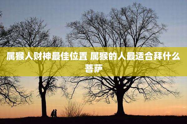 属猴人财神最佳位置 属猴的人最适合拜什么菩萨