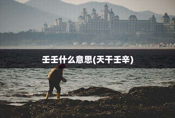 壬壬什么意思(天干壬辛)