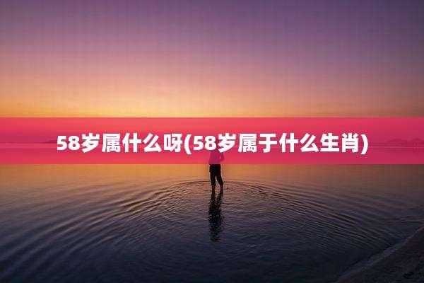 58岁属什么呀(58岁属于什么生肖)
