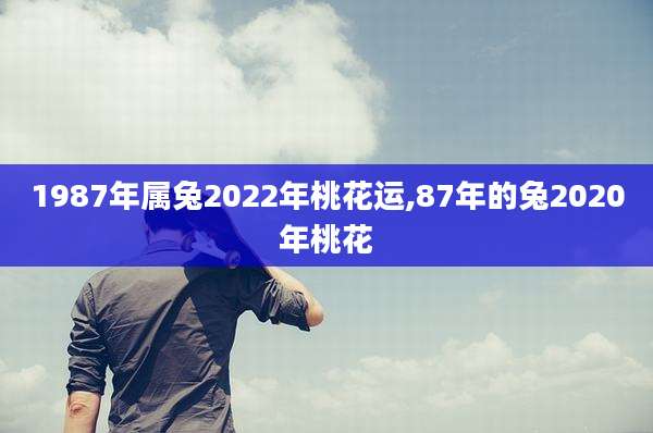 1987年属兔2022年桃花运,87年的兔2020年桃花