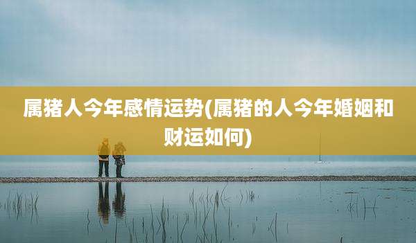 属猪人今年感情运势(属猪的人今年婚姻和财运如何)