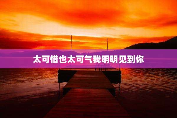 太可惜也太可气我明明见到你