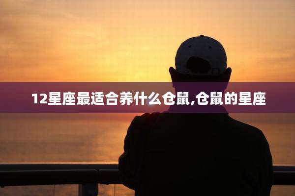 12星座最适合养什么仓鼠,仓鼠的星座