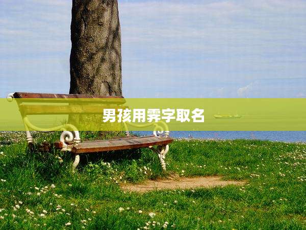 男孩用霁字取名