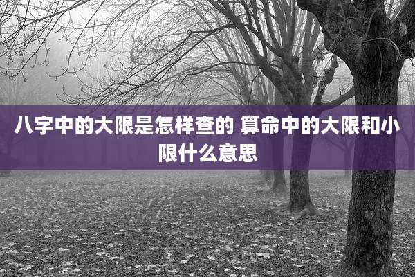 八字中的大限是怎样查的 算命中的大限和小限什么意思