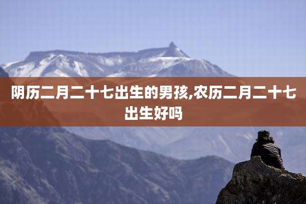 阴历二月二十七出生的男孩,农历二月二十七出生好吗
