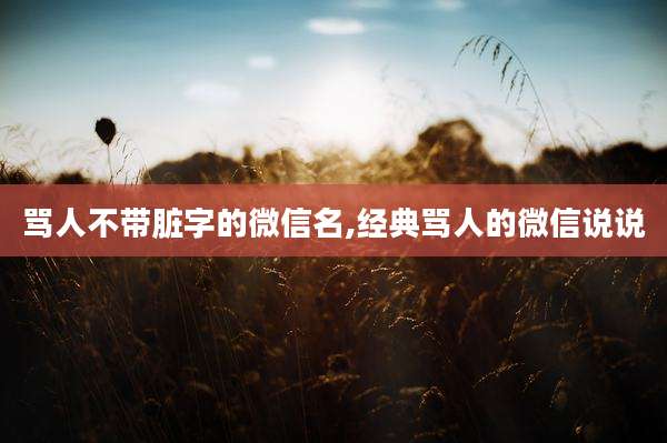 骂人不带脏字的微信名,经典骂人的微信说说