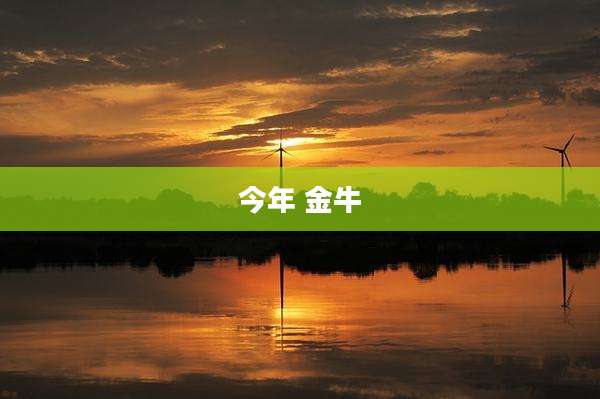 今年 金牛