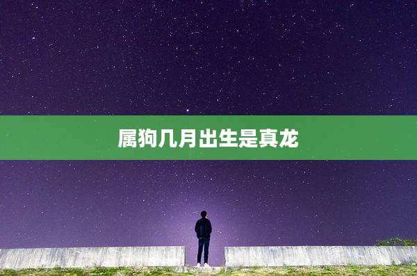 属狗几月出生是真龙
