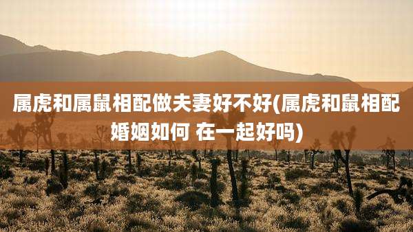 属虎和属鼠相配做夫妻好不好(属虎和鼠相配婚姻如何 在一起好吗)