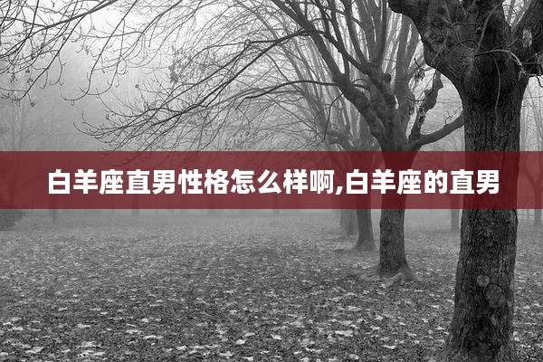 白羊座直男性格怎么样啊,白羊座的直男