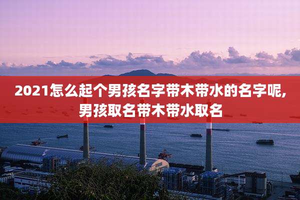 2021怎么起个男孩名字带木带水的名字呢,男孩取名带木带水取名