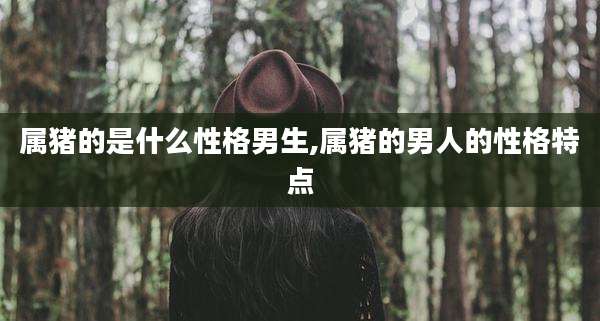 属猪的是什么性格男生,属猪的男人的性格特点