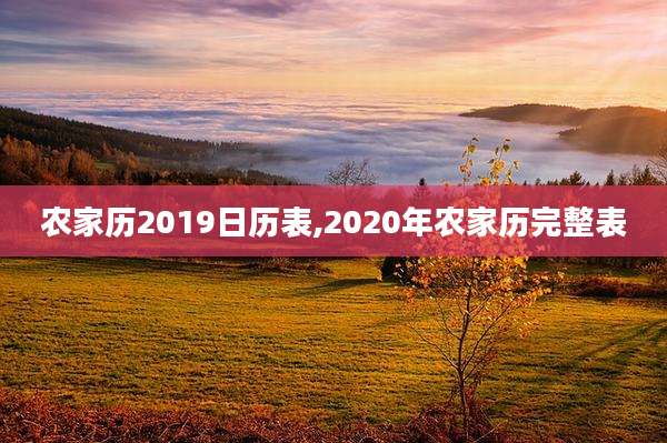 农家历2019日历表,2020年农家历完整表