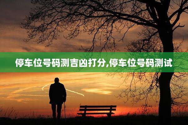 停车位号码测吉凶打分,停车位号码测试