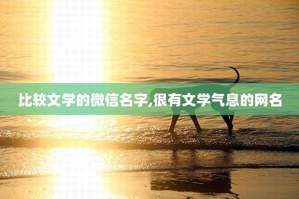 比较文学的微信名字,很有文学气息的网名