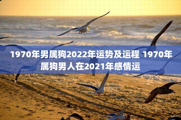 1970年男属狗2022年运势及运程 1970年属狗男人在2021年感情运