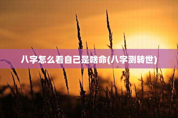 八字怎么看自己是啥命(八字测转世)