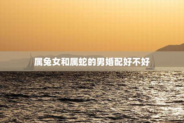 属兔女和属蛇的男婚配好不好