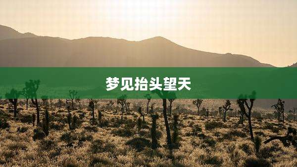 梦见抬头望天