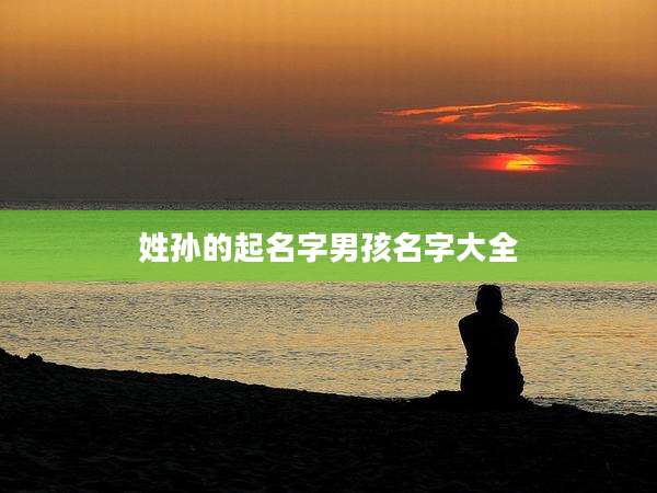 姓孙的起名字男孩名字大全