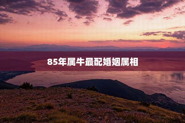 85年属牛最配婚姻属相