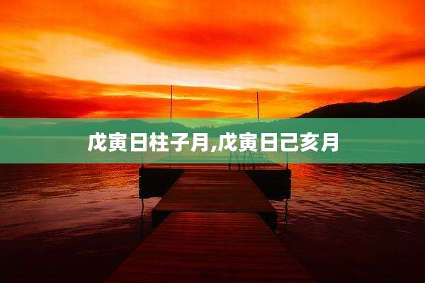 戊寅日柱子月,戊寅日己亥月