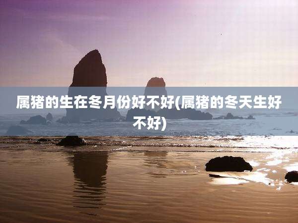 属猪的生在冬月份好不好(属猪的冬天生好不好)