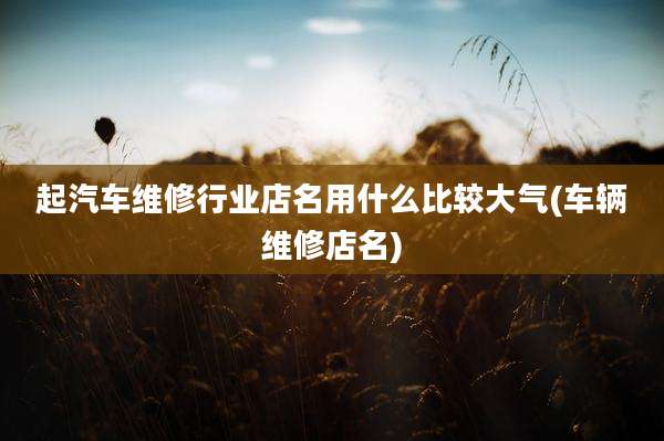 起汽车维修行业店名用什么比较大气(车辆维修店名)