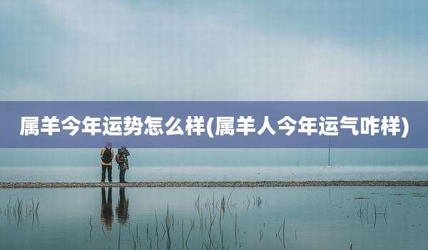 属羊今年运势怎么样(属羊人今年运气咋样)
