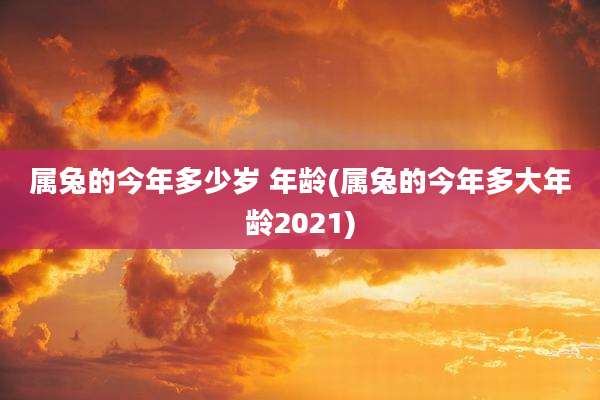 属兔的今年多少岁 年龄(属兔的今年多大年龄2021)
