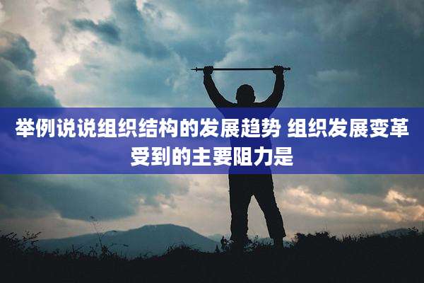 举例说说组织结构的发展趋势 组织发展变革受到的主要阻力是