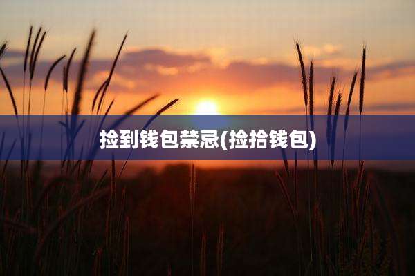 捡到钱包禁忌(捡拾钱包)