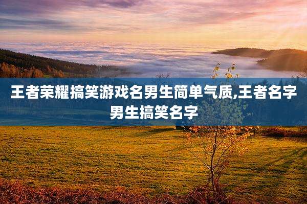王者荣耀搞笑游戏名男生简单气质,王者名字男生搞笑名字