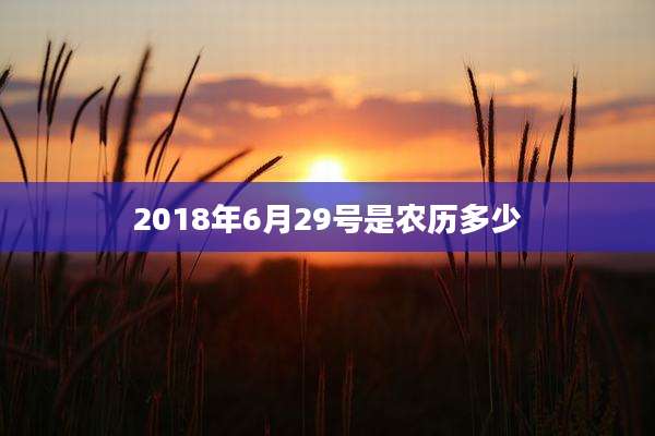 2018年6月29号是农历多少